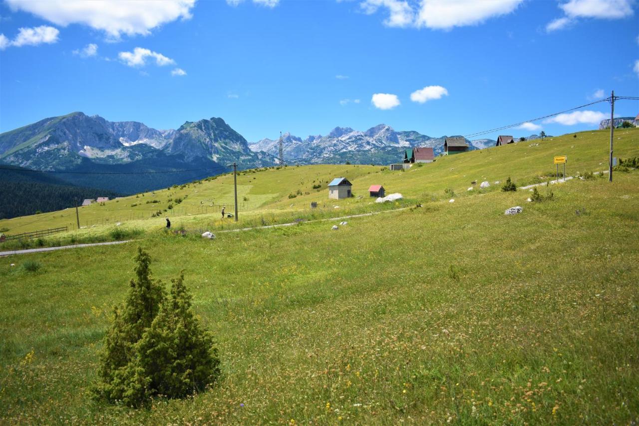 Villa Durmitor View à Žabljak Extérieur photo
